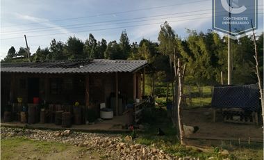 VENTA DE FINCA EN VEREDA ZANCUDITO - BELMIRA