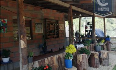 VENTA DE FINCA EN VEREDA ZANCUDITO - BELMIRA