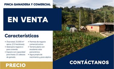 VENTA DE FINCA EN VEREDA ZANCUDITO - BELMIRA