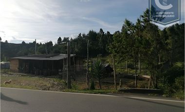 VENTA DE FINCA EN VEREDA ZANCUDITO - BELMIRA