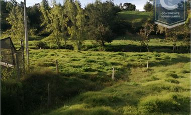 VENTA DE FINCA EN VEREDA ZANCUDITO - BELMIRA