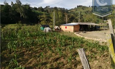 VENTA DE FINCA EN VEREDA ZANCUDITO - BELMIRA