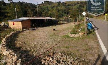 VENTA DE FINCA EN VEREDA ZANCUDITO - BELMIRA