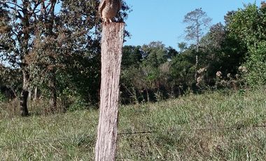 Terreno en venta en el corazon de Barrio Ramirez