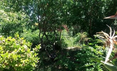 CASA TIPO CHALET DE 3 AMBIENTES CON FONDO LIBRE.