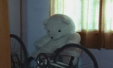 Venta Casa quinta calle Rio Negro San Benito