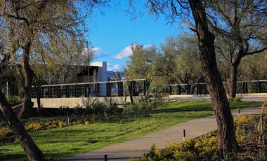 Casa - Ejido Los Pocitos