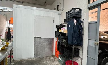 Local en Constituyentes