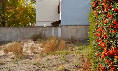 LOTE EN VENTA EN BARRIO DE JARDINES DE KARAKORUM