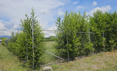 Lote en Venta Rozo Valle del Cauca-Sector La Torre