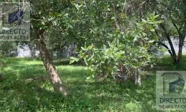 Quinta en Huajuquito O los Cavazos