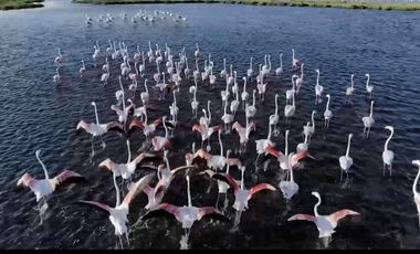 VENTA DEPARTAMENTO FRENTE AL MAR EN LA COSTA YUCATECA