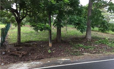 Terrenos en Llanos de Curundu