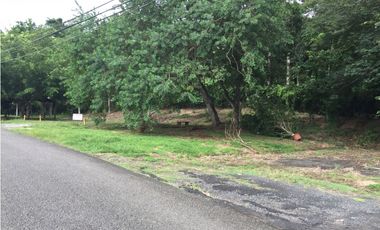 Terrenos en Llanos de Curundu