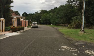 Terrenos en Llanos de Curundu