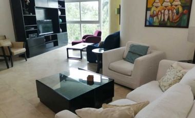 ALQUILER APARTAMENTO AMOBLADO AMADOR 195MTS2