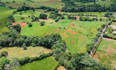 VENTA DE TERRENOS PARA DESARROLLO CAMPESTRE PANAMA OESTE