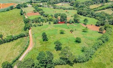 VENTA DE TERRENOS PARA DESARROLLO CAMPESTRE PANAMA OESTE