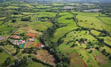 VENTA DE TERRENO PARA DESARROLLO CAMPESTRE PANAMA OESTE