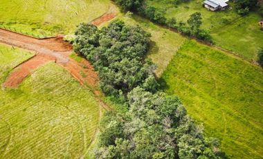 VENTA DE TERRENO PARA DESARROLLO CAMPESTRE PANAMA OESTE