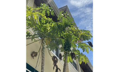 Casa Frente Al Lago Las Cumbres