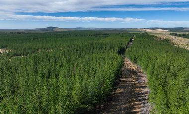 Rematamos Parcelas En Cauquenes  Ahora  a $8.990.000