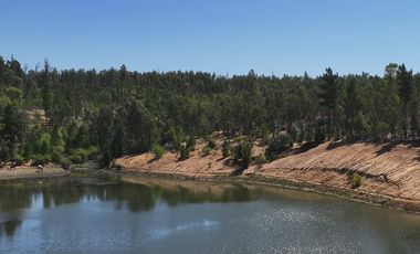 Rematamos Parcelas En Cauquenes  Ahora  a $8.990.000