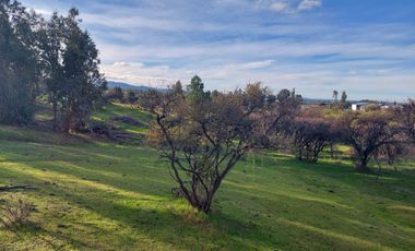 Rematamos Parcelas En Cauquenes  Ahora  a $8.990.000