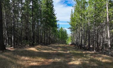 Rematamos Parcelas En Cauquenes  Ahora  a $8.990.000