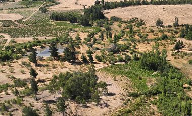 Rematamos Parcelas En Cauquenes  Ahora  a $8.990.000