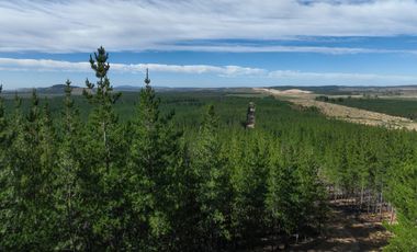 Rematamos Parcelas En Cauquenes  Ahora  a $8.990.000