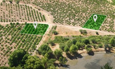 Rematamos Parcelas En Cauquenes  Ahora  a $8.990.000