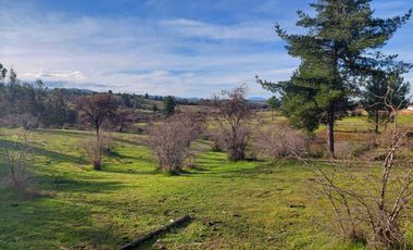 Rematamos Parcelas En Cauquenes  Ahora  a $8.990.000