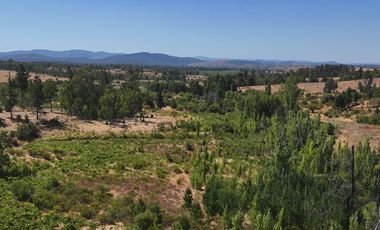 Rematamos Parcelas En Cauquenes  Ahora  a $8.990.000