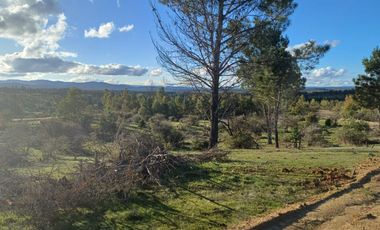 Rematamos Parcelas En Cauquenes  Ahora  a $8.990.000