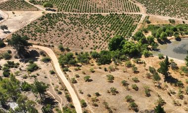 Rematamos Parcelas En Cauquenes  Ahora  a $8.990.000