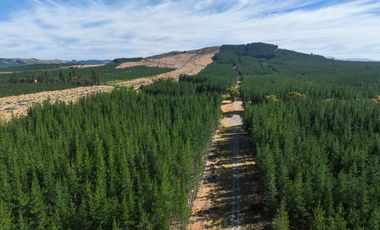 Rematamos Parcelas En Cauquenes  Ahora  a $8.990.000