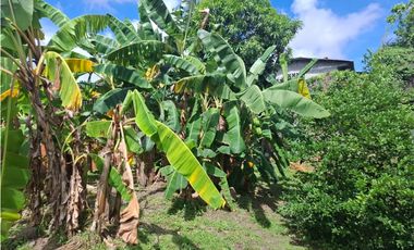 EL CRISOL / 240M / FRENTE A VIA / PLANO / TERRENO PARA INVERSION