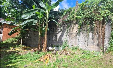 EL CRISOL / 240M / FRENTE A VIA / PLANO / TERRENO PARA INVERSION