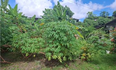 EL CRISOL / 240M / FRENTE A VIA / PLANO / TERRENO PARA INVERSION