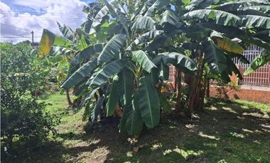 EL CRISOL / 240M / FRENTE A VIA / PLANO / TERRENO PARA INVERSION