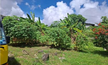 EL CRISOL / 240M / FRENTE A VIA / PLANO / TERRENO PARA INVERSION