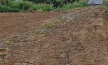 VENTA DE TERRENO COMERCIAL EN LAS MAÑANITAS TOCUMEN (6)