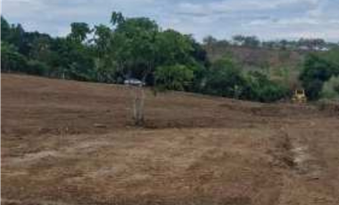 VENTA DE TERRENO COMERCIAL EN LAS MAÑANITAS TOCUMEN (6)