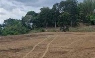 VENTA DE TERRENO COMERCIAL EN LAS MAÑANITAS TOCUMEN (6)