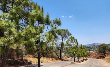 Casa en Venta en Altozano Fraccionamiento Privado