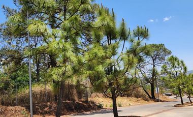 Casa en Venta en Altozano Fraccionamiento Privado