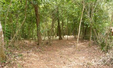 VENTA TERRENO CERRO AZUL