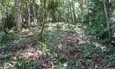 VENTA TERRENO CERRO AZUL