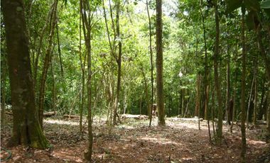 VENTA TERRENO CERRO AZUL